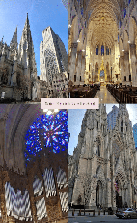 image 14