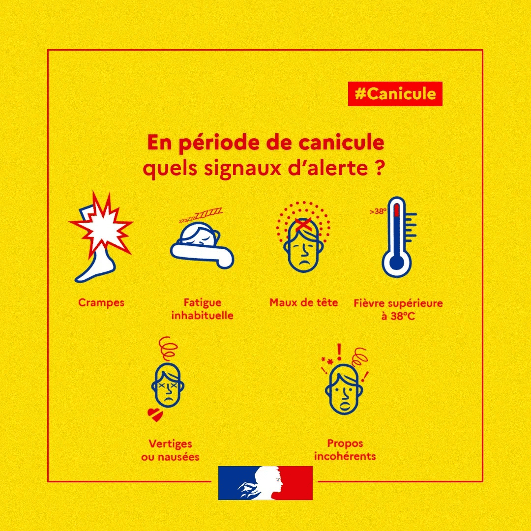CANICULE