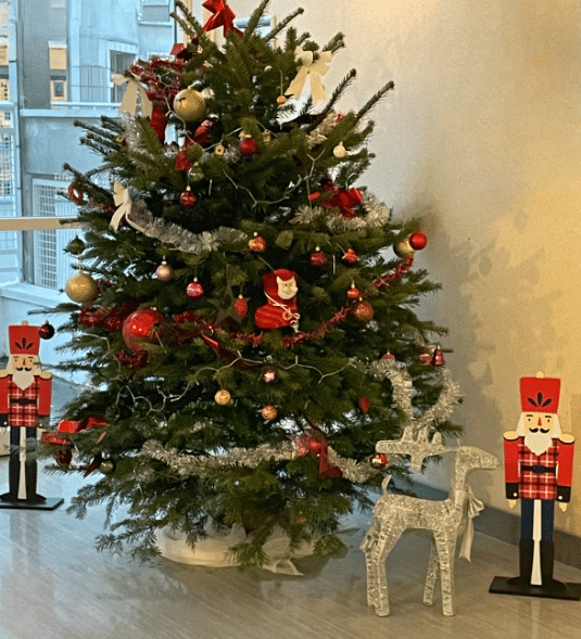 LE LYCÉE SE PARE DE SES PLUS BELLES DÉCORATIONS