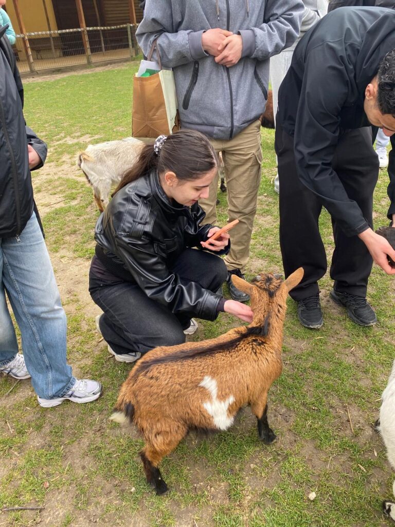 WhatsApp Image 2026 03 26 at 12.10.46