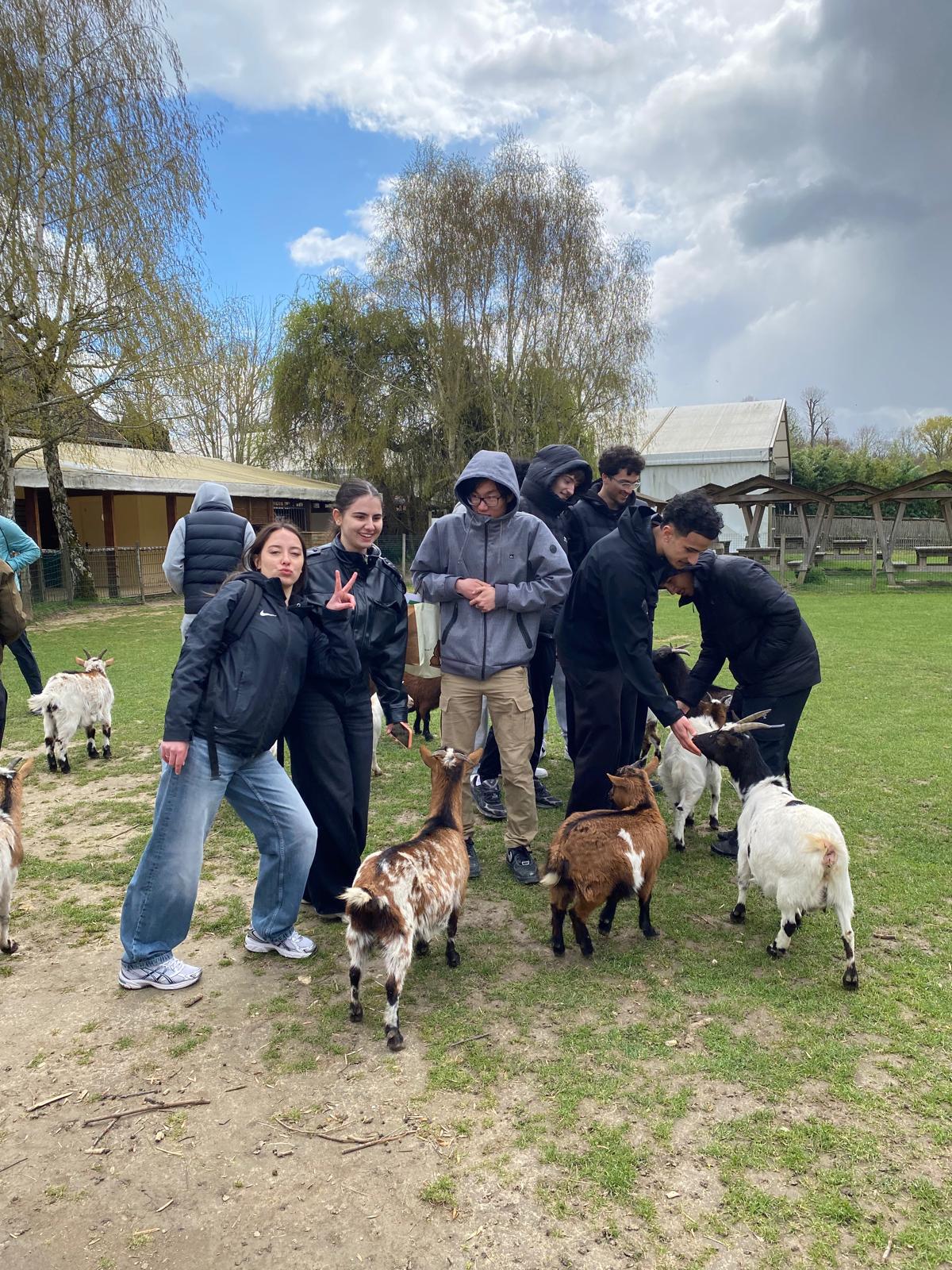 WhatsApp Image 2026 03 26 at 12.10.48