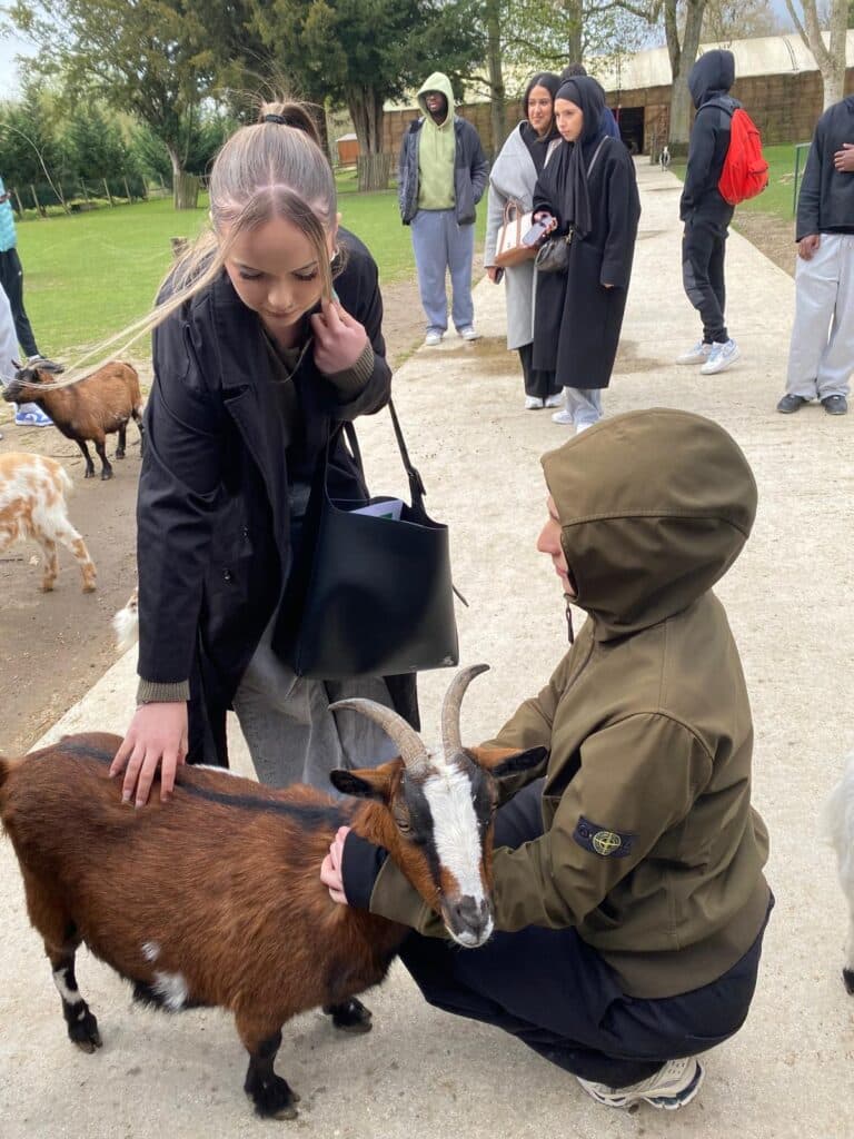 WhatsApp Image 2026 03 26 at 12.10.50